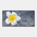 Suche nach frangipani mousepads Blume