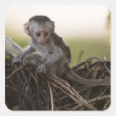 Suche nach allesfresser aufkleber Baby
