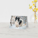 Suche nach kinn karten Für alle