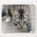 Suche nach konzentration mousepads Vertikal