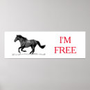 Suche nach reitpferde poster Wildpferde