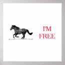 Suche nach schwarz weißes pferd poster Wild