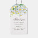 Suche nach gänseblümchen blume Aquarell