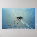 Suche nach blaue krabbe poster Maryland