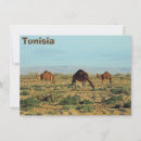 Suche nach kamel karten Nordafrika