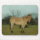 Suche nach maultiere mousepads Ranch
