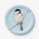 Suche nach singvogel Jede person
