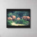 Suche nach safari leinwandbilder Afrika