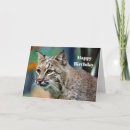 Suche nach luchs karten Foto