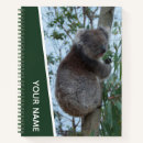 Suche nach koala geschenke Australie