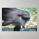 Suche nach niedlicher delphin poster Tiere
