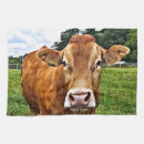 Suche nach cow geschirr tücher Tiere