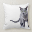 Suche nach blaue katze kissen Katzen