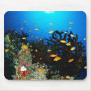 Suche nach gruppe mousepads Natur