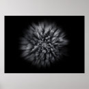 Suche nach weiße blume auf schwarzem hintergrund poster Schwarz weiß