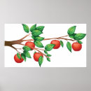 Suche nach apfelbaum poster Für alle