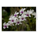 Suche nach nationalität postkarten Reisen