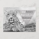 Suche nach wild lebende tiere postkarten Leopard