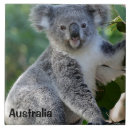 Suche nach australien fliesen Tier
