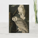 Suche nach audubon karten Vogelvogel