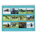 Suche nach fohlen kalender Friesisch