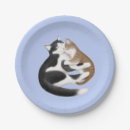 Suche nach moggy Schwarz weiße katze