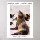 Suche nach wilder löwe poster Meer