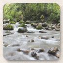 Suche nach strom untersetzer Jede person