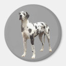 Suche nach dogge magnete Tiere