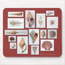 Suche nach seemuschel mousepads Meer