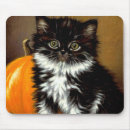 Suche nach vintage katzen mousepads Halloween