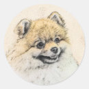 Suche nach zwergspitz aufkleber Welpe