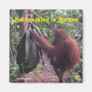 Suche nach borneo magnete Wild lebende tiere