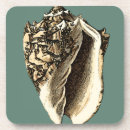 Suche nach schatz untersetzer Seashell