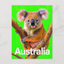 Suche nach beuteltier postkarten Australien