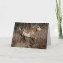 Suche nach stallion karten Laufen