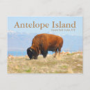 Suche nach antelope postkarten Uah