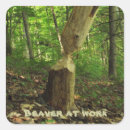 Suche nach biber aufkleber Tier