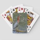 Suche nach reiher spielkarten Vogel