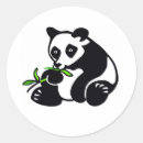 Suche nach wilder bär aufkleber Jede person