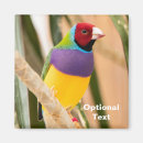 Suche nach finken magnete Klein