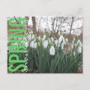 Suche nach schneefallen postkarten Blume