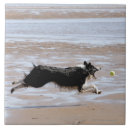 Suche nach genuss fliesen Hund