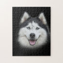Suche nach sibirischer husky puzzle Spaß