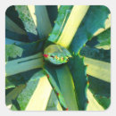 Suche nach agave aufkleber Saftig
