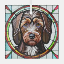 Suche nach deutsch drahthaar ornamente Für alle