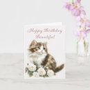 Suche nach katze und blumen karten Für alle