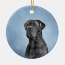 Suche nach cane corso ornamente Hund
