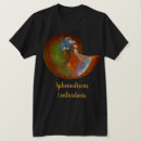 Suche nach ammoniten tshirts Ammoniit