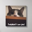 Suche nach lustige katzen und poster leinwandbilder Miezekatze